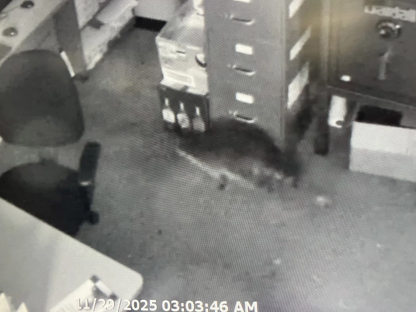 0412 Cửa hàng rượu bị 'tên cướp đeo mặt nạ' đột nhập, nghi phạm gấu mèo say đến bất tỉnh trong nhà vệ sinh_4.jpg