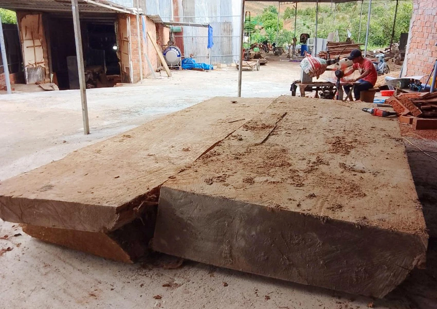 Một đoạn gỗ được cắt xẻ sau khi trục vớt. LÊ KIẾN Một đoạn gỗ được cắt xẻ sau khi trục vớt. LÊ KIẾN