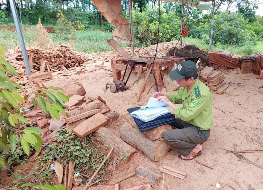 Hạt Kiểm lâm huyện Đức Cơ lập biên bản vụ việc. Ảnh: DV. Hạt Kiểm lâm huyện Đức Cơ lập biên bản vụ việc. Ảnh: DV.