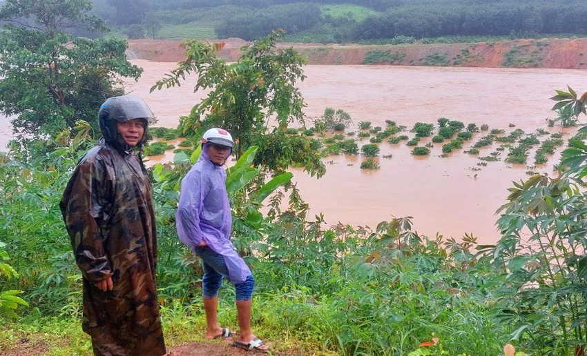 Tại huyện Đắk Hà, nhiều diện tích hoa màu, cây trồng chìm trong nước. Tại huyện Đắk Hà, nhiều diện tích hoa màu, cây trồng chìm trong nước.