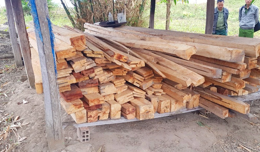 Số gỗ tang vật cất giấu dưới nhà sàn. Ảnh: CH Số gỗ tang vật cất giấu dưới nhà sàn. Ảnh: CH