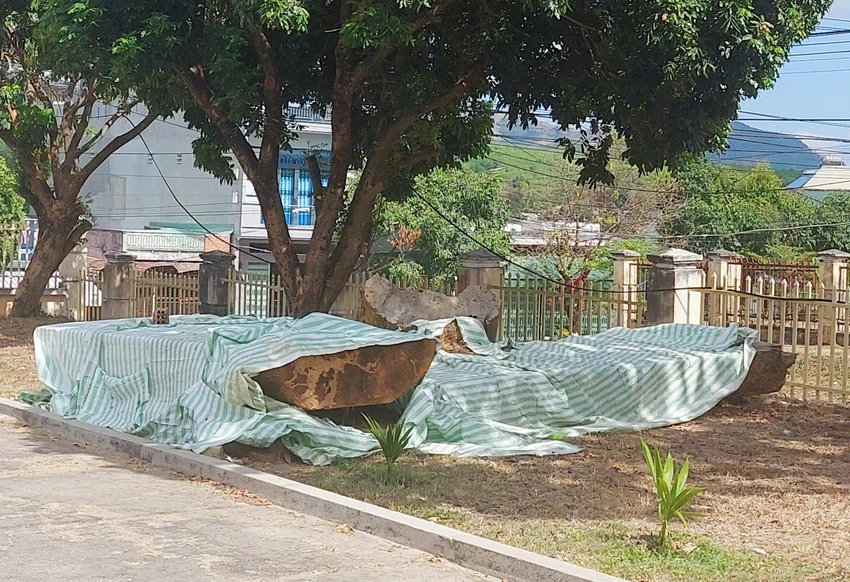 Số gỗ đang được tạm giữ tại Công an huyện Sa Thầy. Ảnh: NN Số gỗ đang được tạm giữ tại Công an huyện Sa Thầy. Ảnh: NN