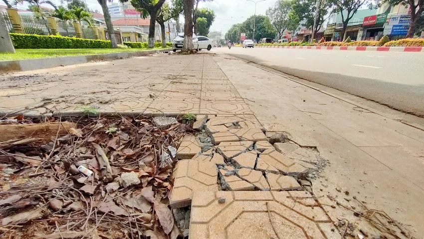Gạch ngay vị trí cây xanh đô thị bị vỡ vụn. Gạch ngay vị trí cây xanh đô thị bị vỡ vụn.