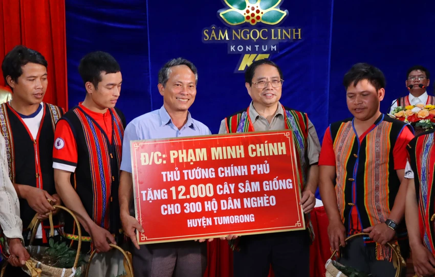 Dịp này, Thủ tướng tặng 12.000 cây sâm Ngọc Linh giống cho hộ nghèo. Dịp này, Thủ tướng tặng 12.000 cây sâm Ngọc Linh giống cho hộ nghèo.