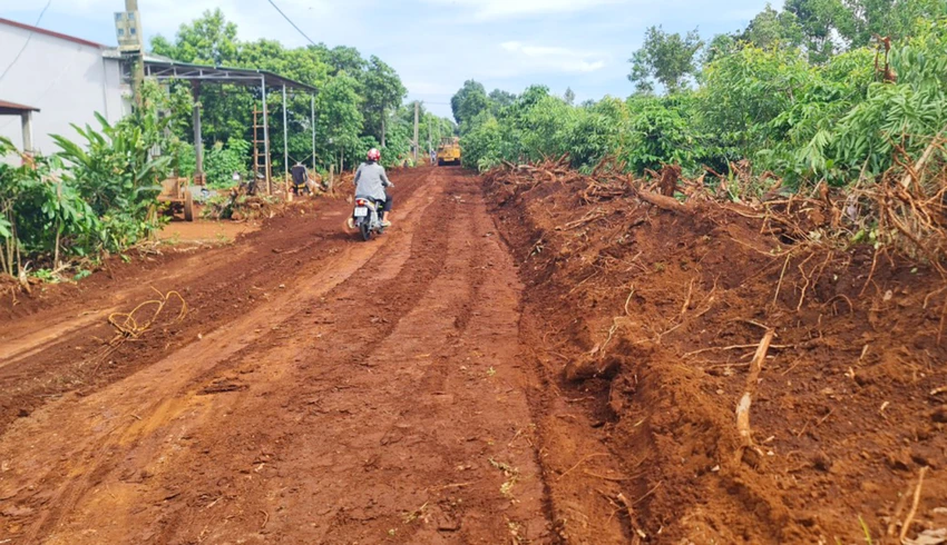 Người dân làng Yam (thị trấn Ia Kha, huyện Ia Grai) hiến đất, cà phê để làm đường. Ảnh: LK. Người dân làng Yam (thị trấn Ia Kha, huyện Ia Grai) hiến đất, cà phê để làm đường. Ảnh: LK.