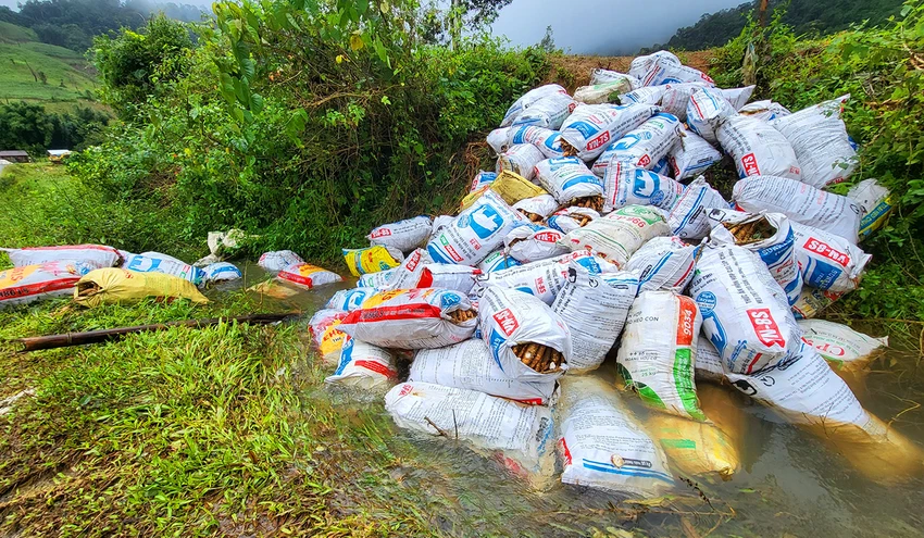 Nông Sản Hư Hỏng