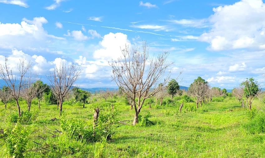 Chưa thu hồi đất của công ty Hoàng Anh Gia Lai quản lý đất ở huyện Ia Pa