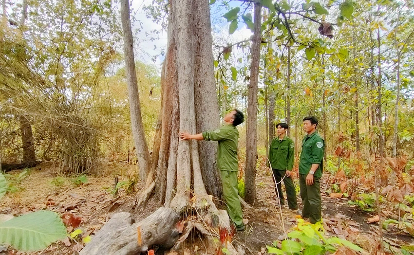 Hoi-nghi-luc-luong-chuyen-trach-ba-ve-rung-2.jpg