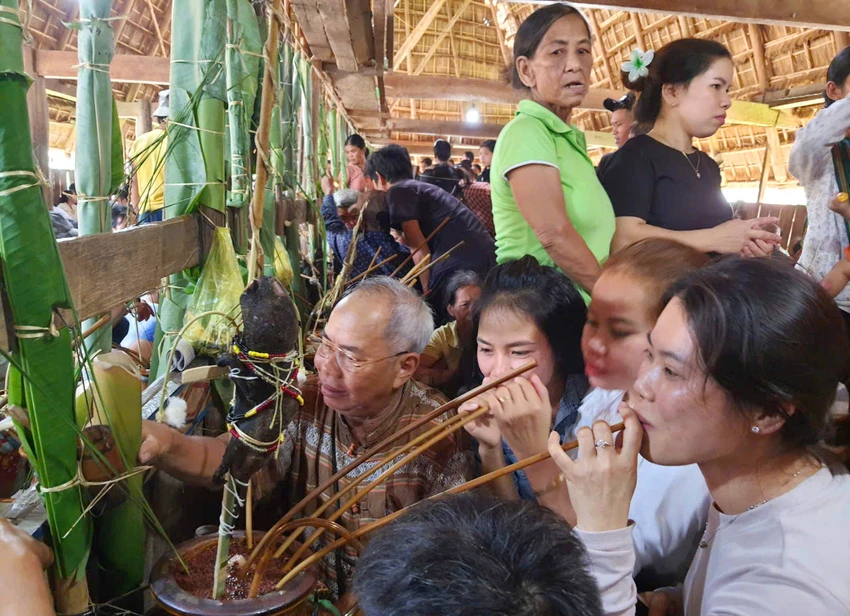 Người Ba Na đón năm mới bằng lễ Ét Đông, Tết ăn con dúi