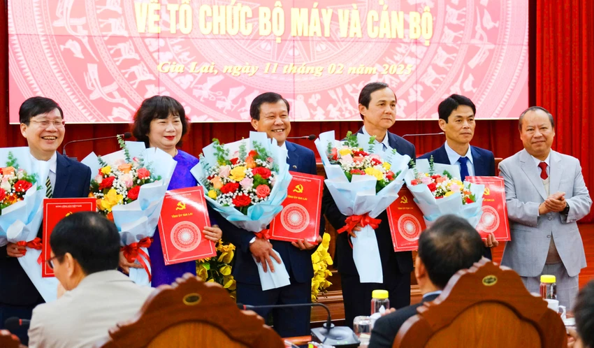 Gia-lai-săp-xep-bo-may-can-bo-4.jpg