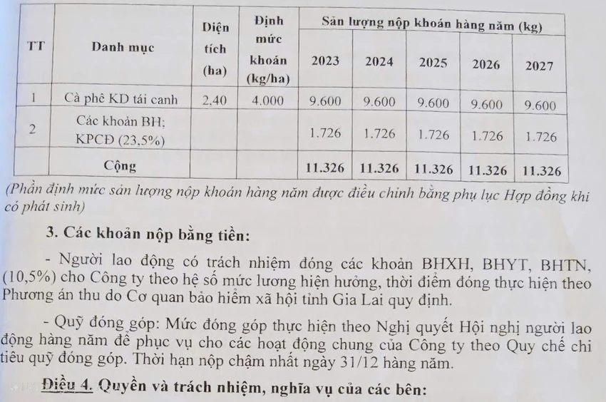 Cong-nhan-ca-phe-phan-anh-phuong-an-khoan-ep-dong-bao-hiem-cao-1.jpg