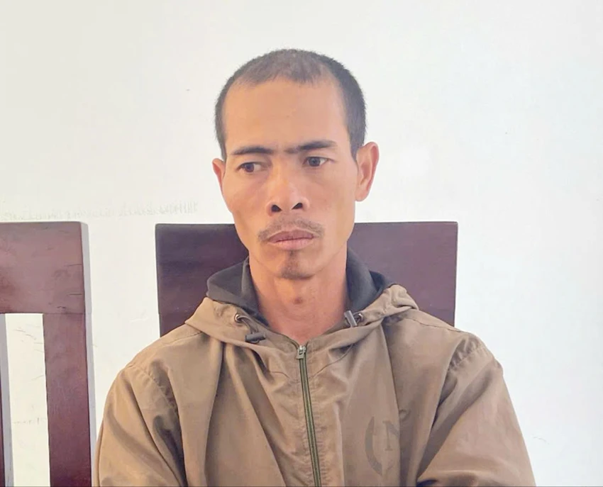 Do mâu thuẫn tình cảm, bị cáo Đặng Văn Thêm đã hai đêm liền lẻn vào vườn cà phê em vợ, dùng cưa cầm tay cưa hạ 45 gốc hồ tiêu, 101 cây cà phê và 5 cây sầu riêng.