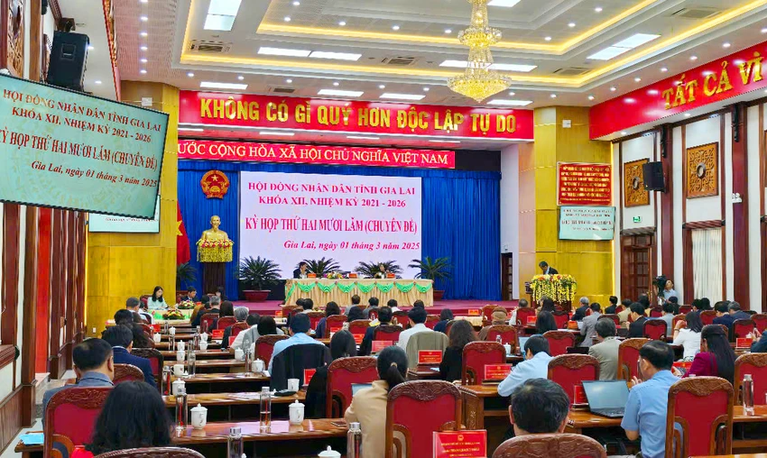 HĐND tỉnh Gia Lai họp chuyên đề bầu bà Đinh Ly An làm Trưởng Ban Văn hóa- Xã hội
