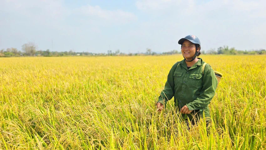 Du-an-thuy-loi-Ia-Mo-chuyen-dat-rung-xay-kenh-dan-nuoc-3.jpg