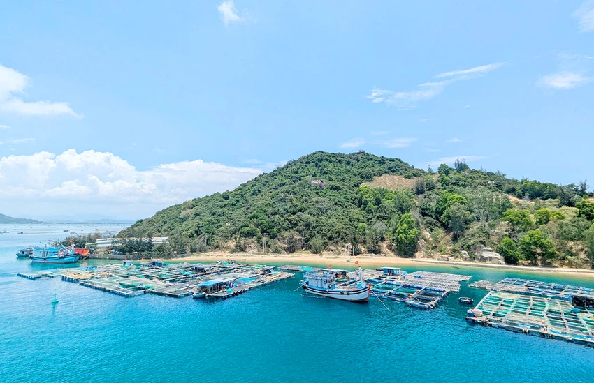 HDND-tinh-Binh-Dinh-to-chuc-ky-hop-thong-qua-to-trinh-du-thuy-De-Gi-1.jpg