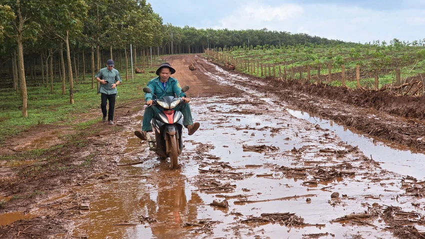 Truong-tho-thu-tien-lai-xe-do-buc-xuc-xe-chogo-chay-len-duong-be-tong-nong-thon-2.jpg