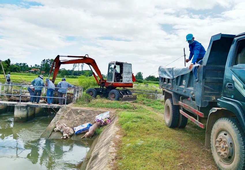 Chủ tịch UBND xã Bình Hiệp (Gia Lai) đã gửi thư xin lỗi toàn thể nhân dân và mong muốn bà con không vứt xác heo chết bừa bãi xuống kênh mương, khiến việc thu gom quá tải .