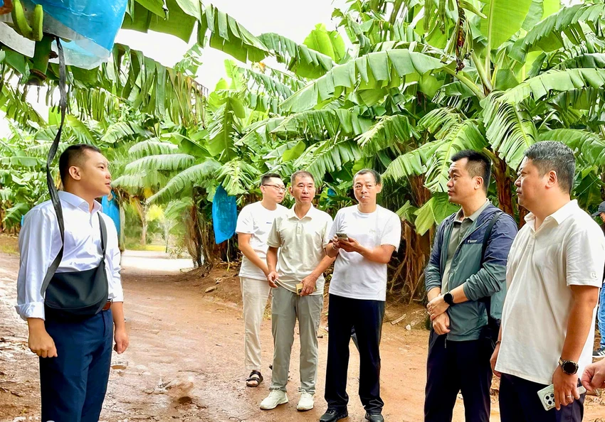 Hoi-nghi-xuc-tien-vao-thi-truong-Trung-Quoc-4.jpg