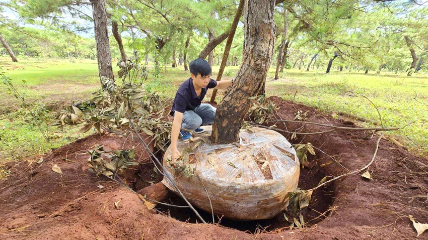 Rung-thong-du-an-san-golf-Dak-Doa-bi-ke-gian-xam-hai-bo-bau-2.jpg