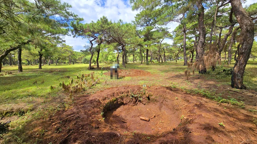 Rung-thong-du-an-san-golf-Dak-Doa-bi-ke-gian-xam-hai-bo-bau-4.jpg