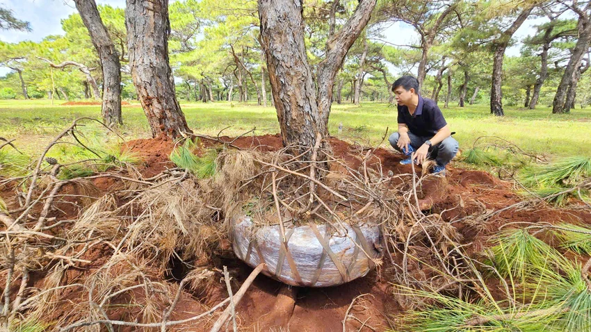 Rung-thong-du-an-san-golf-Dak-Doa-bi-ke-gian-xam-hai-bo-bau-6.jpg
