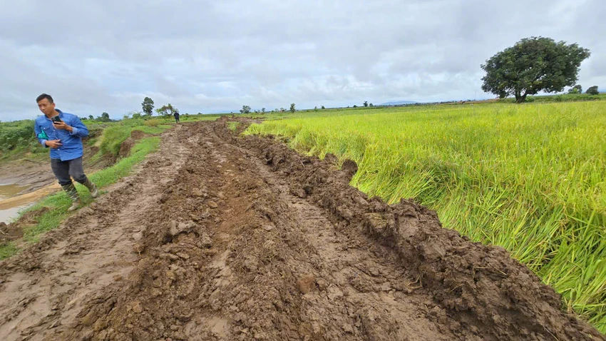 Khai-thac-cay-go-la--bo-song-Ayun-xa-Phu-Thien-Gia-Lai-4.jpg