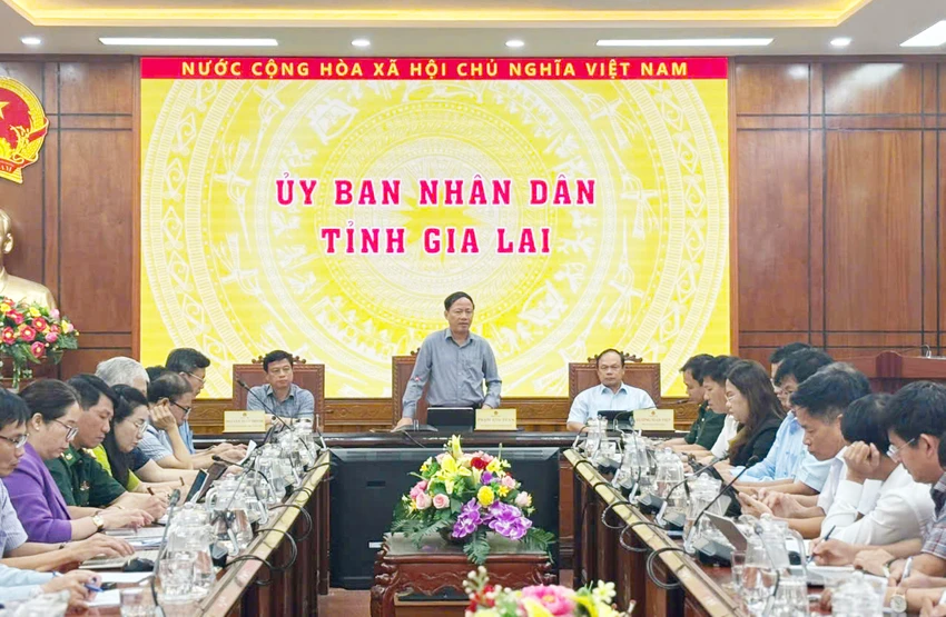 Tinh-gia-Lai-mua-sam-thiebi-bay-ung-pho-bao.jpg