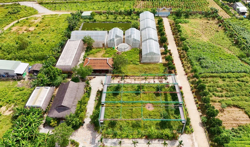 Du-an-trong-rau-Vietgap-nhung-chan-nuoi-gan-khu-dan-cu-2.jpg