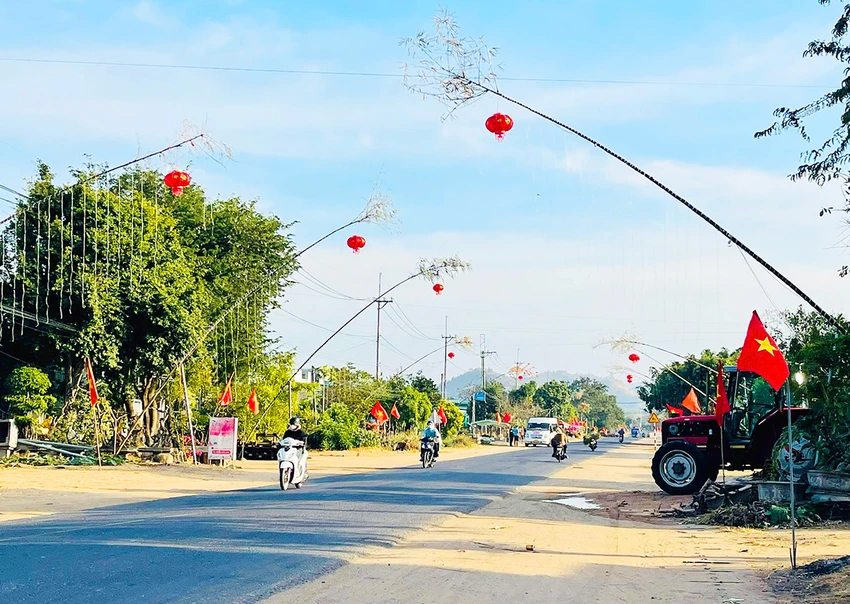 Cay-neu-ngay-Tet-9.jpg