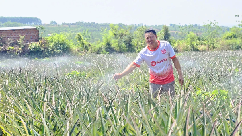 Mo-hinh-tuoi-tiet-kiem-trong-thoi-bao-gia-xang-dau-Gia-Lai-3.jpg