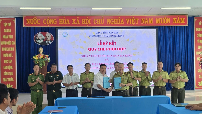 Tha-dong-vat-quy-hiem-vao-rung-Kon-Ka-Kinh-3.jpg