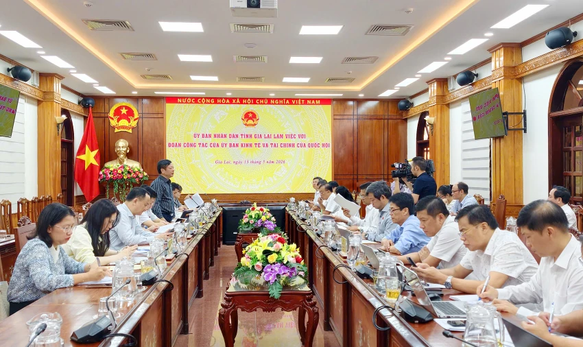 Gia-Lai-tang-truong-hai-con-so-2.jpg