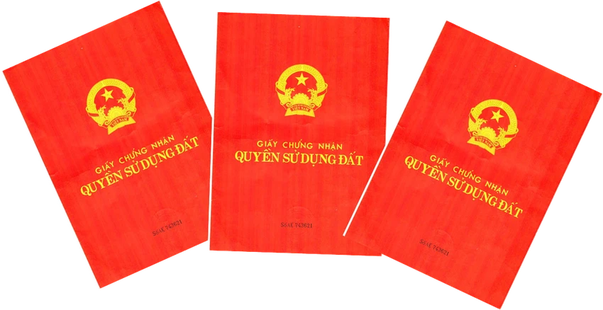 TP.HCM: Gần 37.000 nhà, đất giấy tay sắp được cấp sổ đỏ ảnh 1