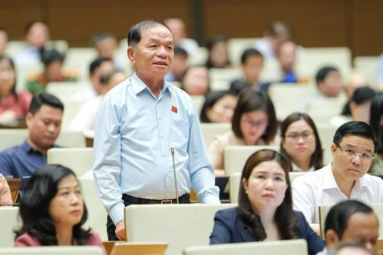 ĐBQH Lê Thanh Vân (Cà Mau). Ảnh: QH