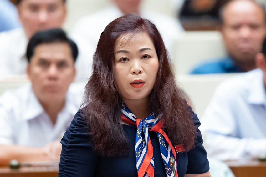 ĐB Vũ Thị Lưu Mai. ĐB Vũ Thị Lưu Mai.