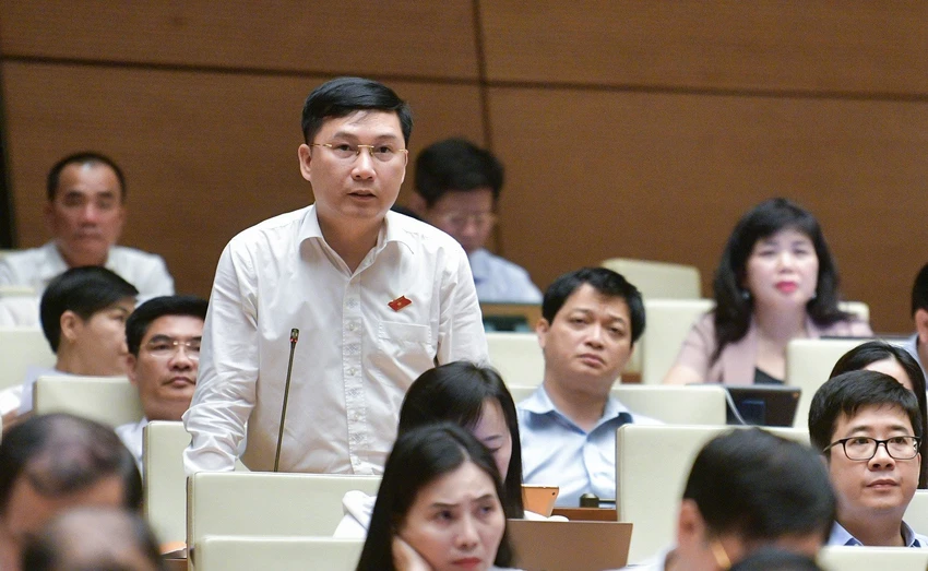 DB-Le-Hoang-Anh.jpeg