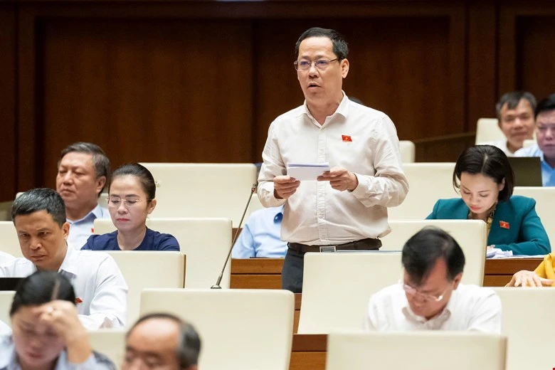 DB-Tran-Nhat-Minh.jpg