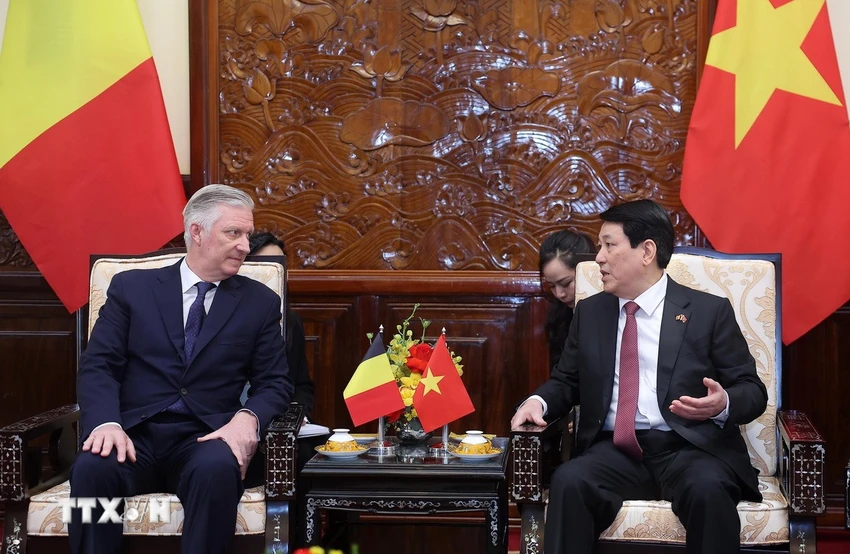 chu-tich-nuoc-Luong-Cuong-hoi-kien-nha-vua-Bi.jpg
