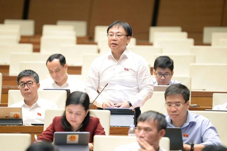 dai-bieu-Nguyen-Cong-Long.jpg