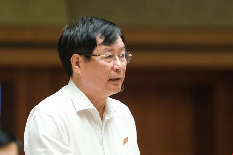 Dai-bieu-Tran-Cong-Phan.jpg