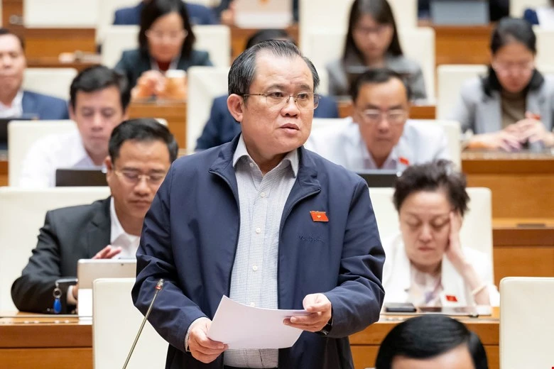dai-bieu-Nguyen-Tam-Hung.jpg
