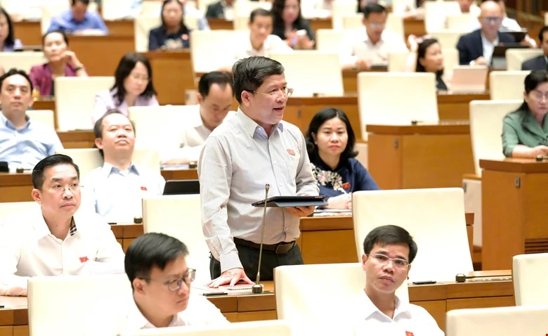 Dai-bieu-Ta-Van-Ha.jpg