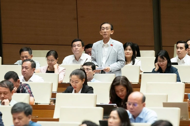 dai-bieu-Tran-Hoang-Ngan.jpg
