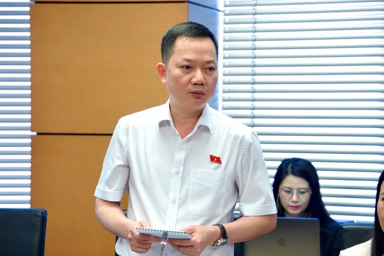 Dai-bieu-Trinh-Xuan-An.jpg