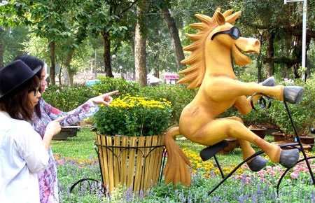 Đường hoa, hội hoa níu chân du khách ảnh 3 Đường hoa, hội hoa níu chân du khách ảnh 3