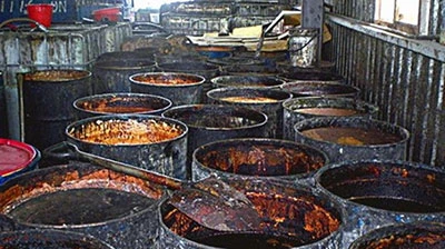 Con đường xuất ngoại của mỡ bẩn ảnh 2