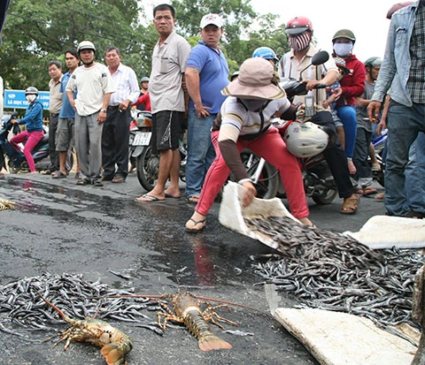 Không để ‘chặn quốc lộ’ thành tiền lệ ảnh 1 Không để ‘chặn quốc lộ’ thành tiền lệ ảnh 1