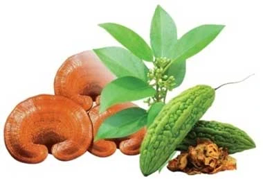Ngăn chặn đái tháo đường từ giai đoạn tiền đái tháo đường ảnh 3 Ngăn chặn đái tháo đường từ giai đoạn tiền đái tháo đường ảnh 3