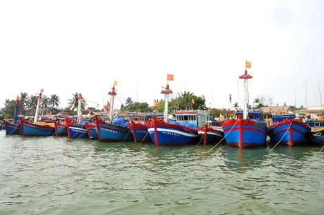 Việt Nam xác minh tàu cá bị tàu Trung Quốc đâm chìm ở Hoàng Sa ảnh 1