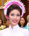 Sài Gòn sẽ là ‘Thành phố áo dài’ ảnh 3